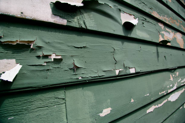 Best Historical Building Siding Restoration  in Cedar Mill, OR